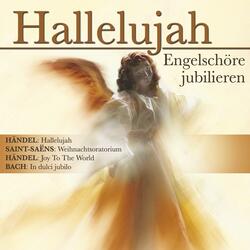 Du Friedefürst, Herr Jesu Christ