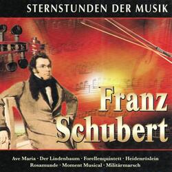 Militärmarsch No. 1 in D Major, Op. 51, D. 733