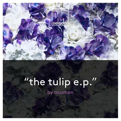The Tulip