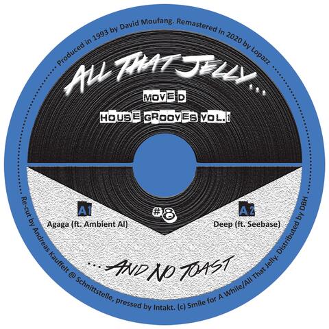 House Grooves, Vol. 1