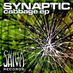 Cabbage