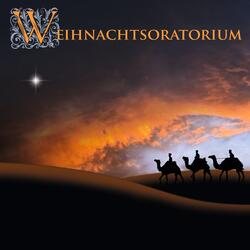 Sinfonia (Hirtenmusik aus dem Weihnachtsoratorium BWV 214)