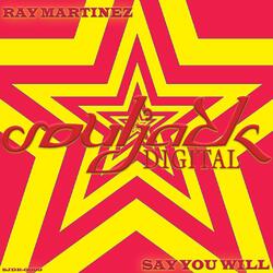 Say You Will