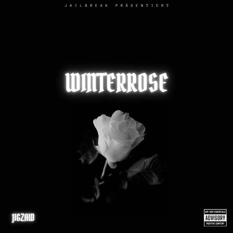WINTERROSE