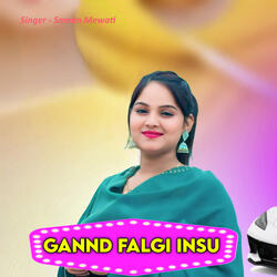 Gannd Falgi Insu