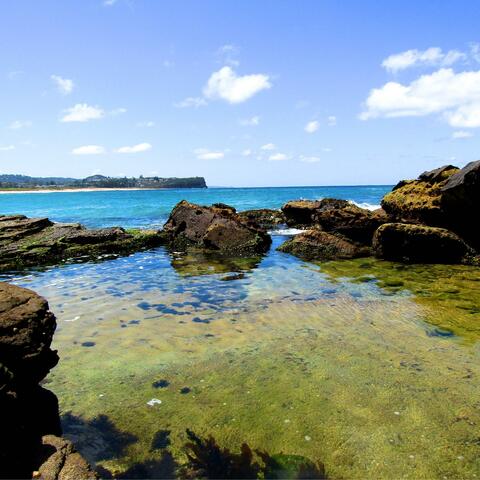 Ocean Waves for Sleep 6 Rockpool Warriewood Beach Australia - Loopable No Fade