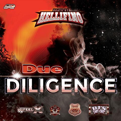 Due Diligence
