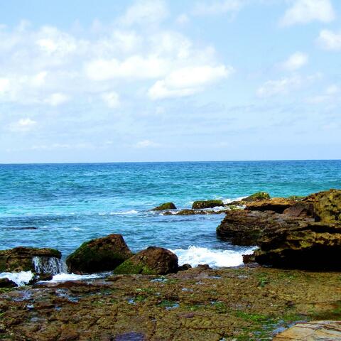 Ocean Waves for Sleep 8 Rockplatform Warriewood Beach Australia - Loopable No Fade