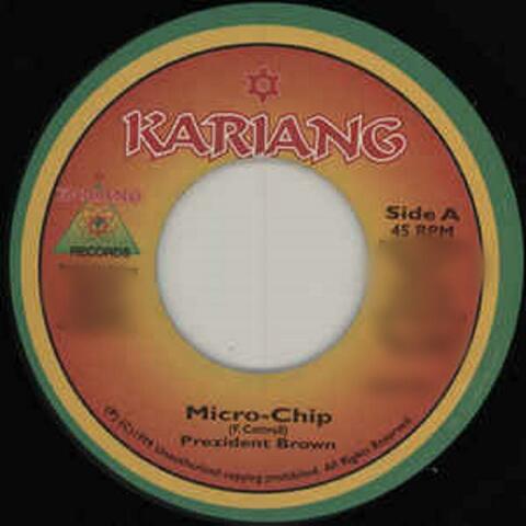 Microchip