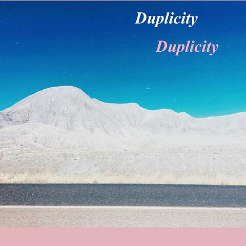 Duplicity