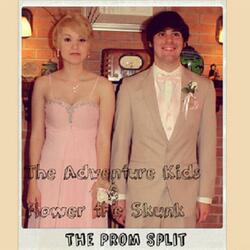 Senioritis (High School Song)