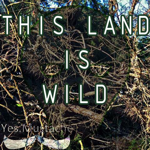 This Land is Wild (feat. L.O.W.)