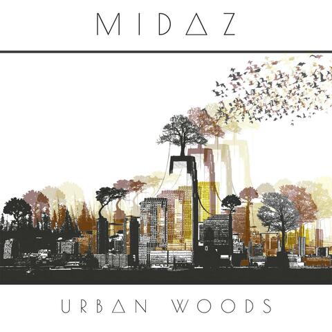 Urban Woods