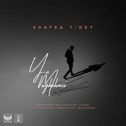 Ye Moghehaei (feat T. Dey)