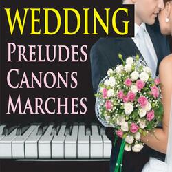 Here Comes the Bride (Church Pipe Organ) [slower]