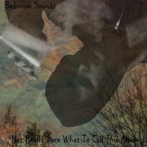 Not Really Sure What to Call This Album