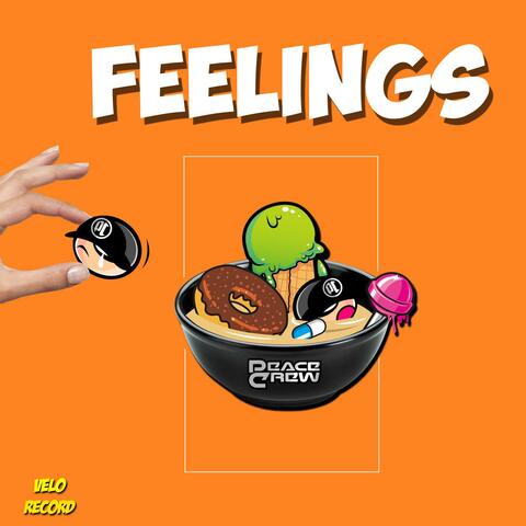 Feelings