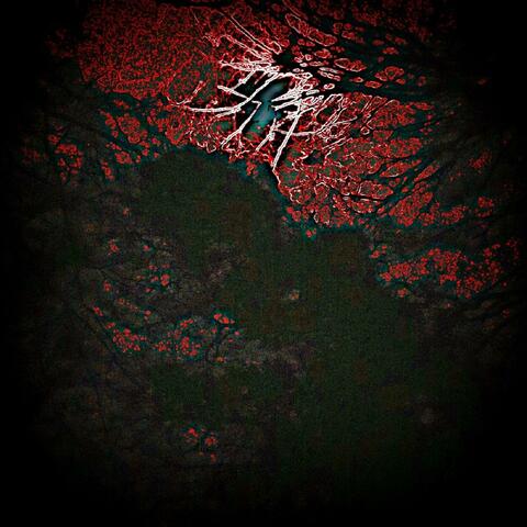 Silent Spring