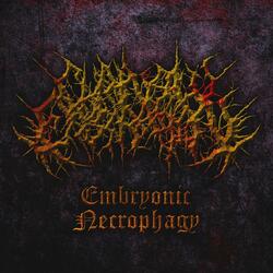 The Palpitation of Every Artery feat. Calum Forrest (Operation Cunt Destroyer)