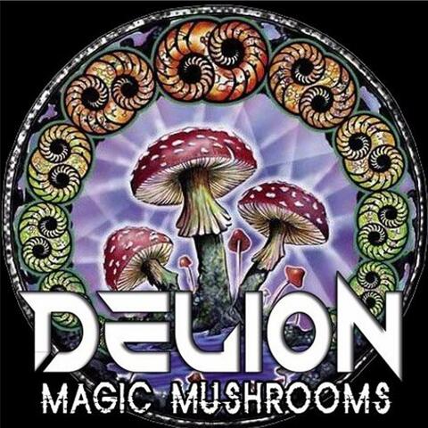 Magic Mushrooms
