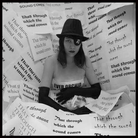 That Through Which The Sound Comes