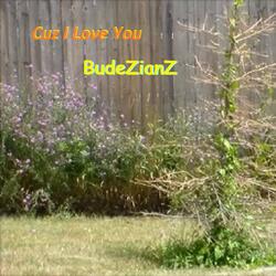 Cuz I Love You