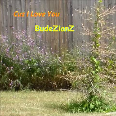 Cuz I Love You