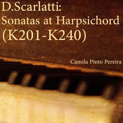 Sonata in E Minor, K232: Andante