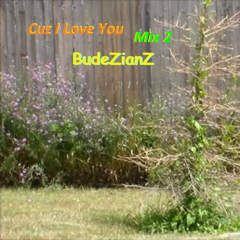 Cuz I Love You Mix 2