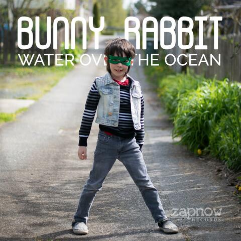 Bunny Rabbit