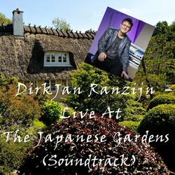 Wishing You Were Somehow Here Again