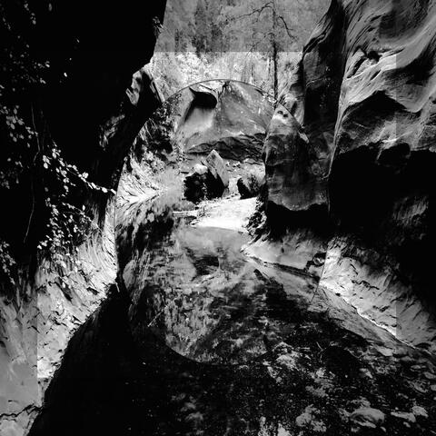 From The Bottom Of The Well