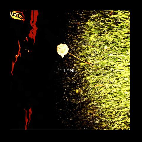 L.Y.N.D.