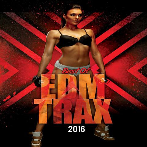 Best Of EDM Trax 2016