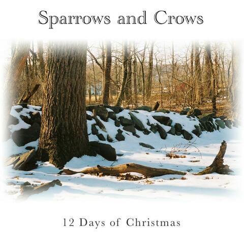 12 Days of Christmas