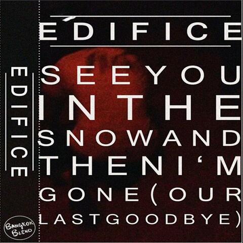See You In The Snow And Then I'm Gone (Our Last Goodbye)