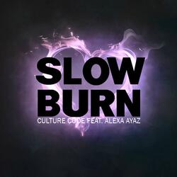 Slow Burn (feat. Alexa Ayaz) (Original Mix)
