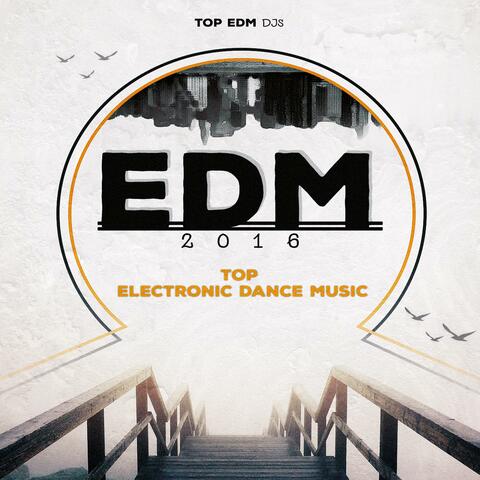EDM 2016 (Top Electronic Dance Music Hits Of The Year, Party Music for Djs and Rave Fans)
