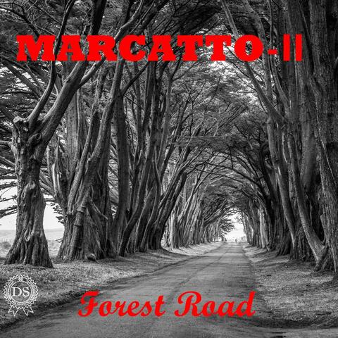 Forest Road
