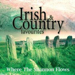 Where The Shannon Flows
