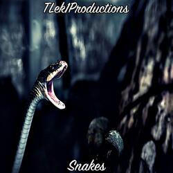 Snakes