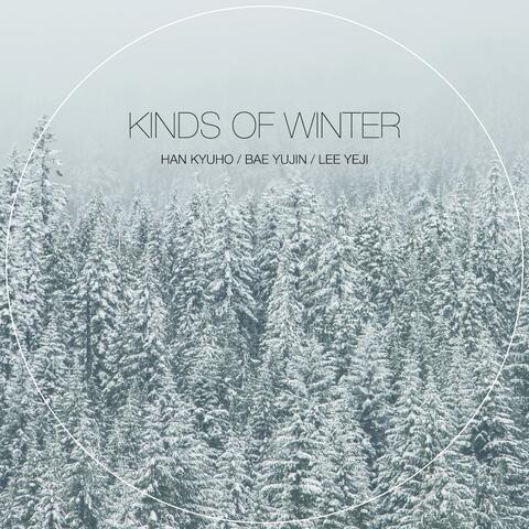 Kinds of Winter