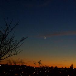 The Tree That Saw Me Grow