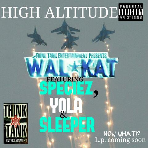 High Altitude (feat. Species, Yola & Sleeper)