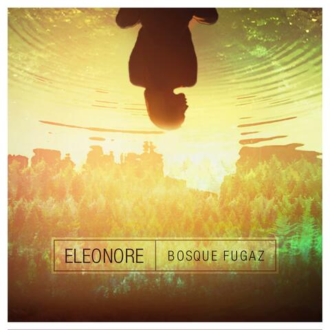 Bosque Fugaz
