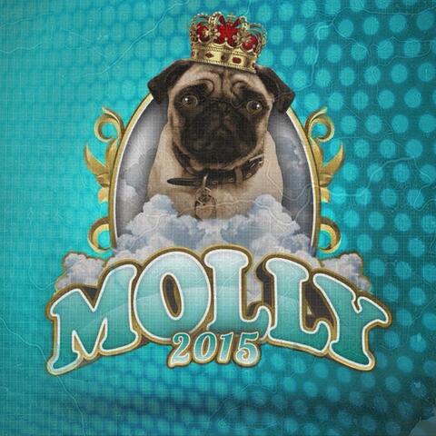 Molly 2015