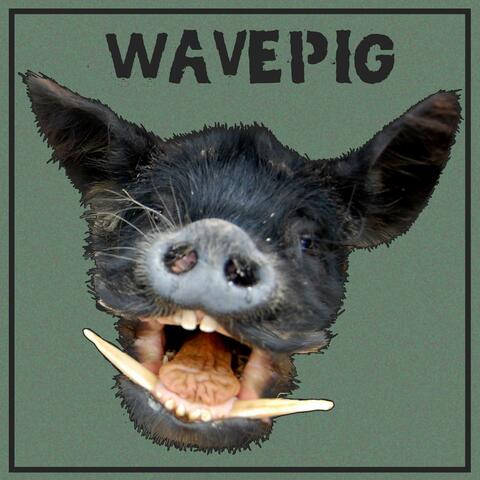 Live From the Pigpen