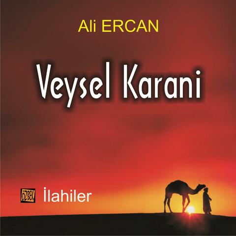 Veysel Karani