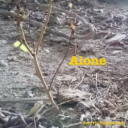 Alone