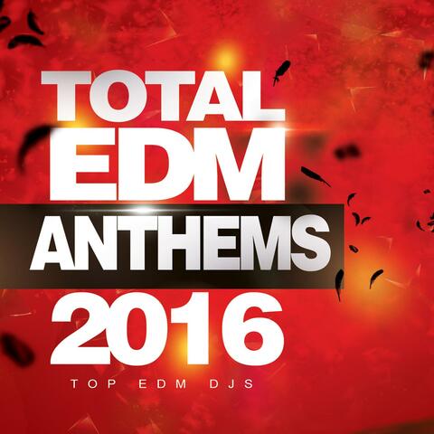 Top EDM DJs
